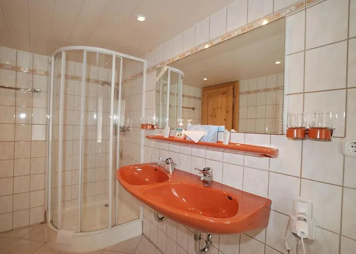 Hotel Brauner Hirsch