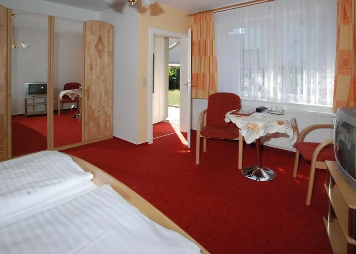 Brauner Hirsch Bad Harzburg